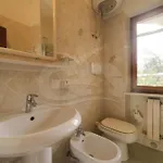 Apartment Aurora Celeste - Goelba